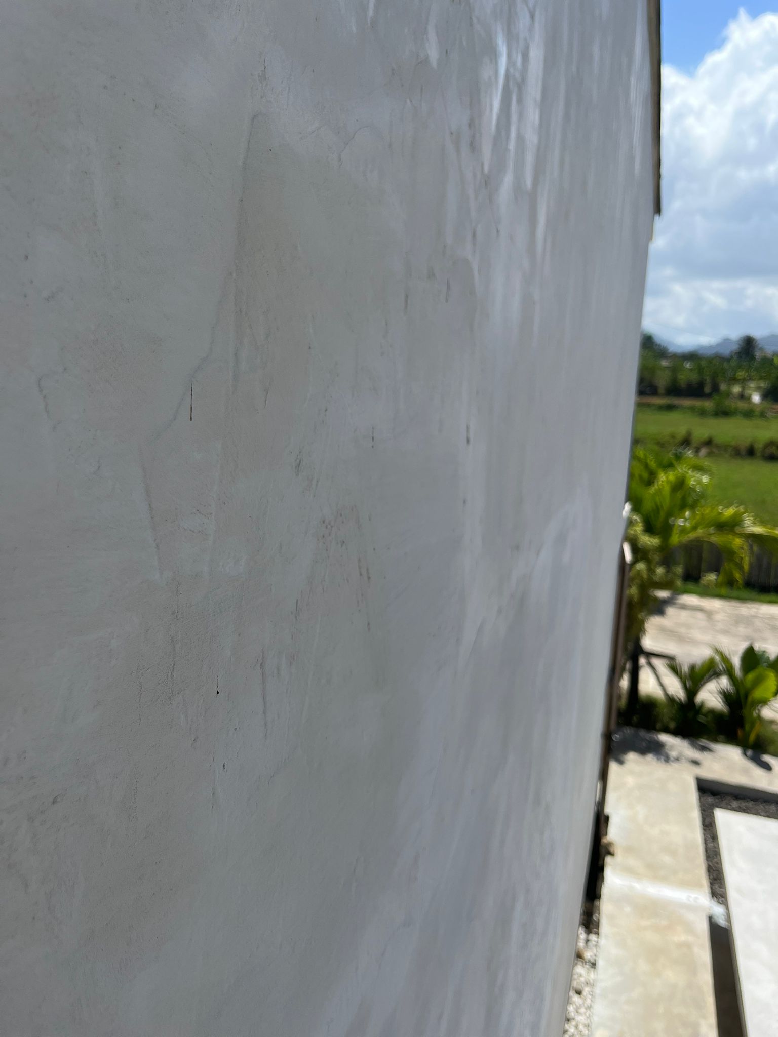 White microcement exterior wall with palm trees and distant mountains