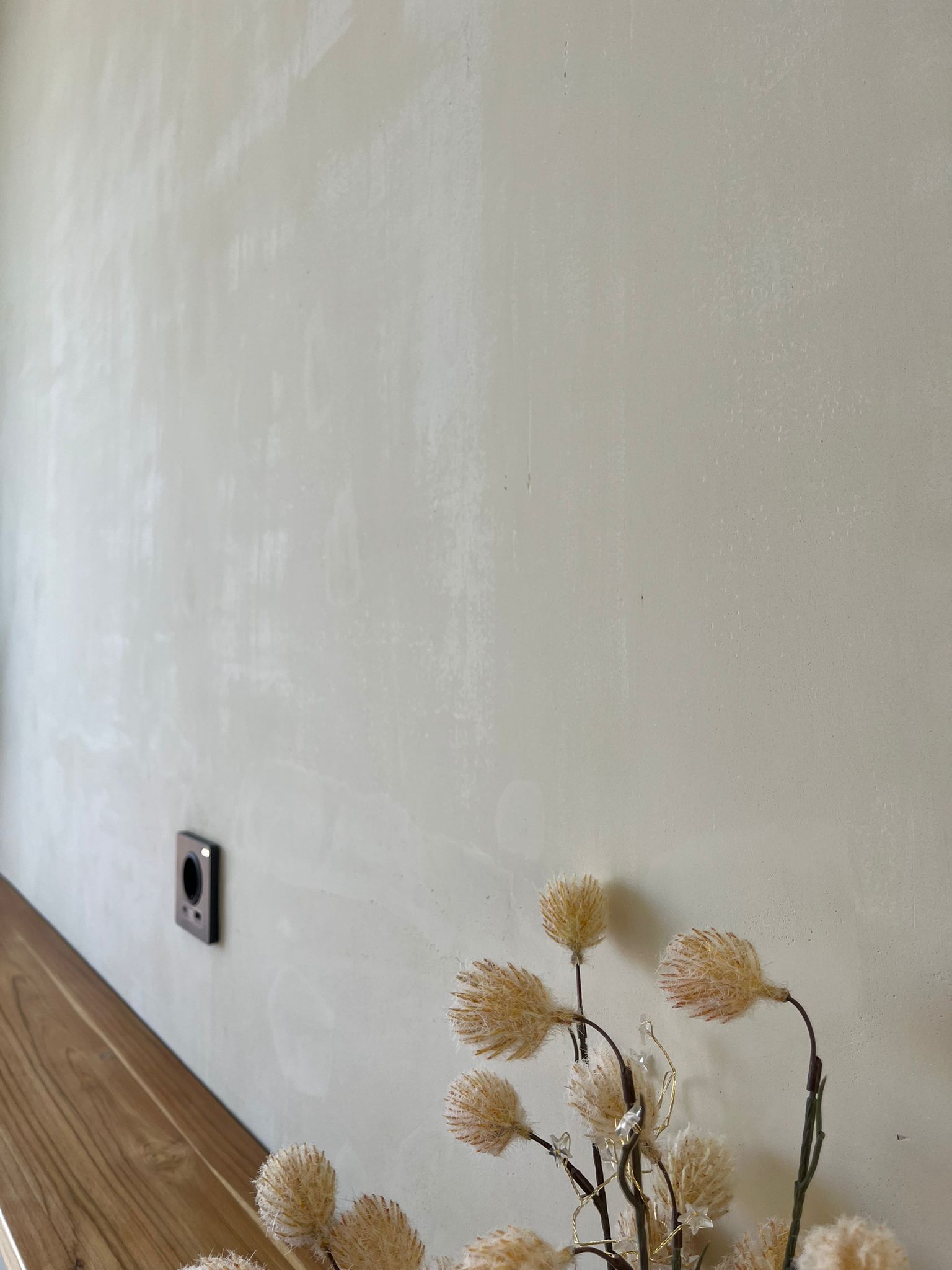 Off-white microcement wall with styled dried-flower arrangement on a wood floor